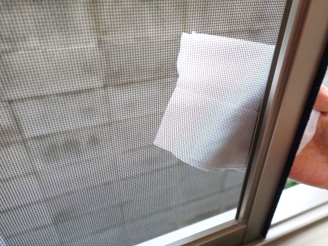 網戸の掃除